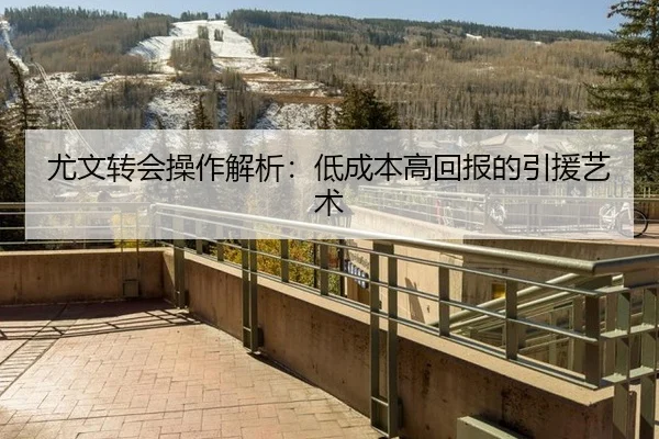 尤文转会操作解析：低成本高回报的引援艺术